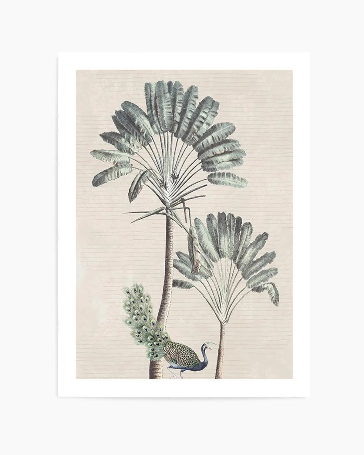 Exotic Palm II Art Print from Olive et Oriel where you can shop wallpaper and artworks online