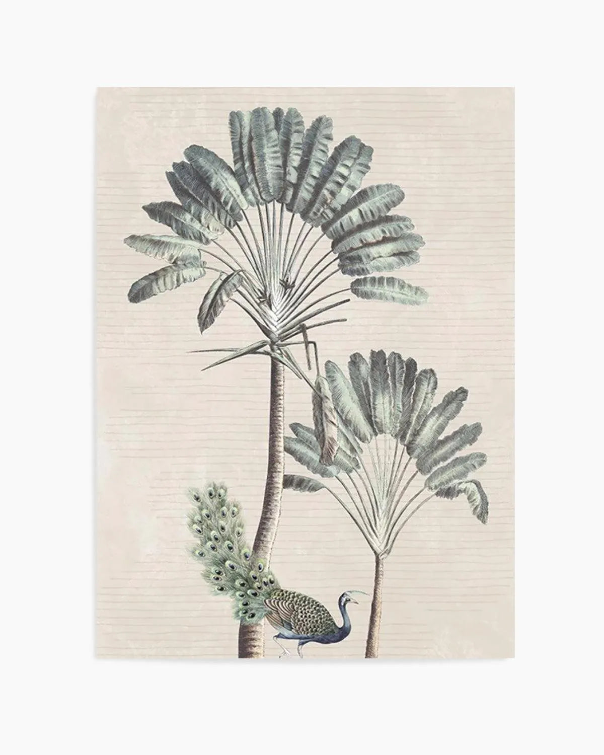 Exotic Palm II Art Print from Olive et Oriel where you can shop wallpaper and artworks online