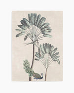Exotic Palm II Art Print