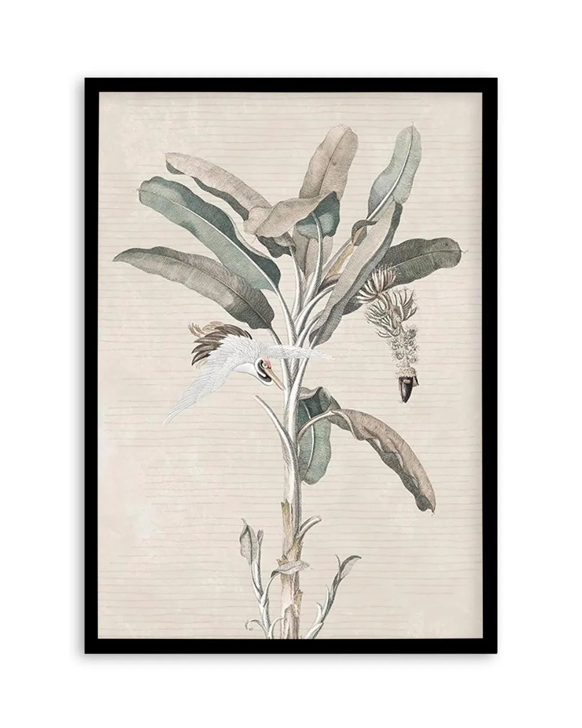 Exotic Palm III Art Print from Olive et Oriel where you can shop wallpaper and artworks online