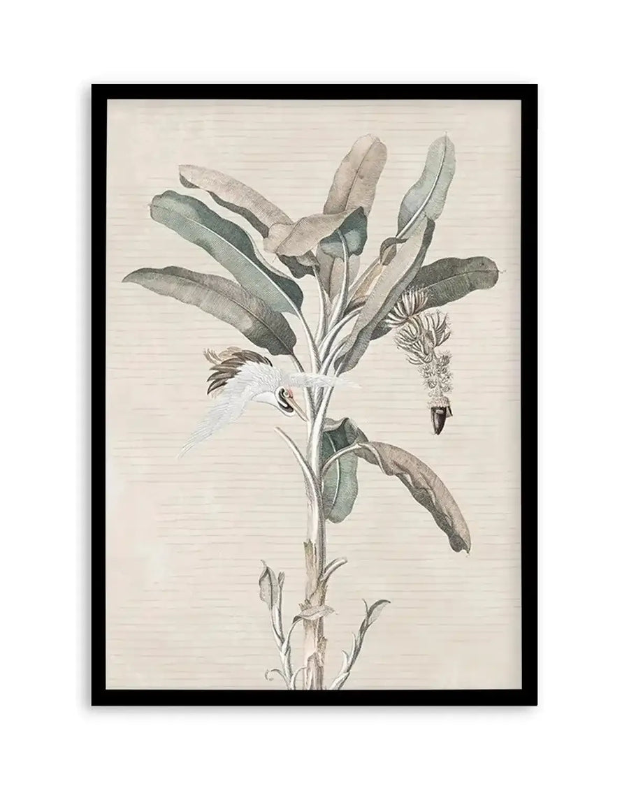 Exotic Palm III Art Print from Olive et Oriel where you can shop wallpaper and artworks online