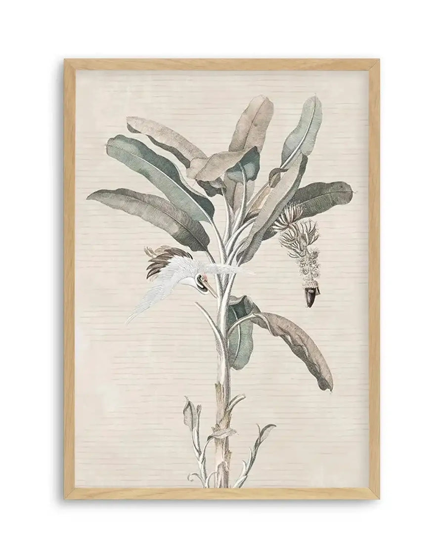 Exotic Palm III Art Print from Olive et Oriel where you can shop wallpaper and artworks online