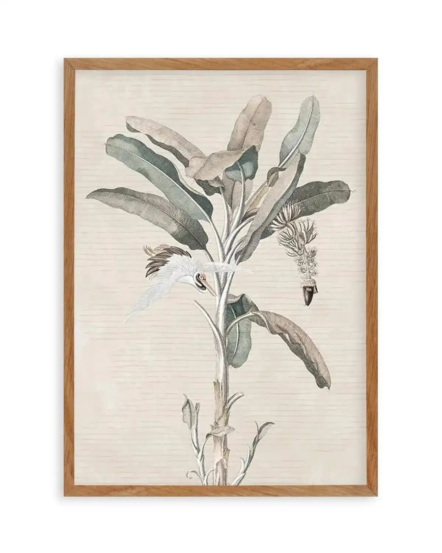 Exotic Palm III Art Print from Olive et Oriel where you can shop wallpaper and artworks online