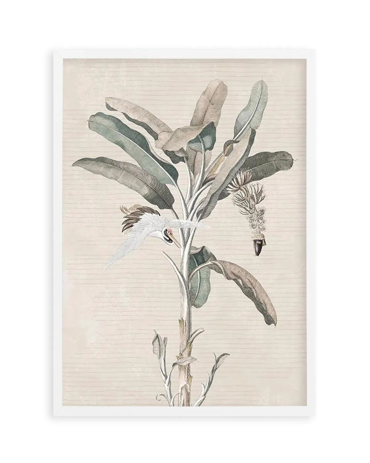 Exotic Palm III Art Print from Olive et Oriel where you can shop wallpaper and artworks online