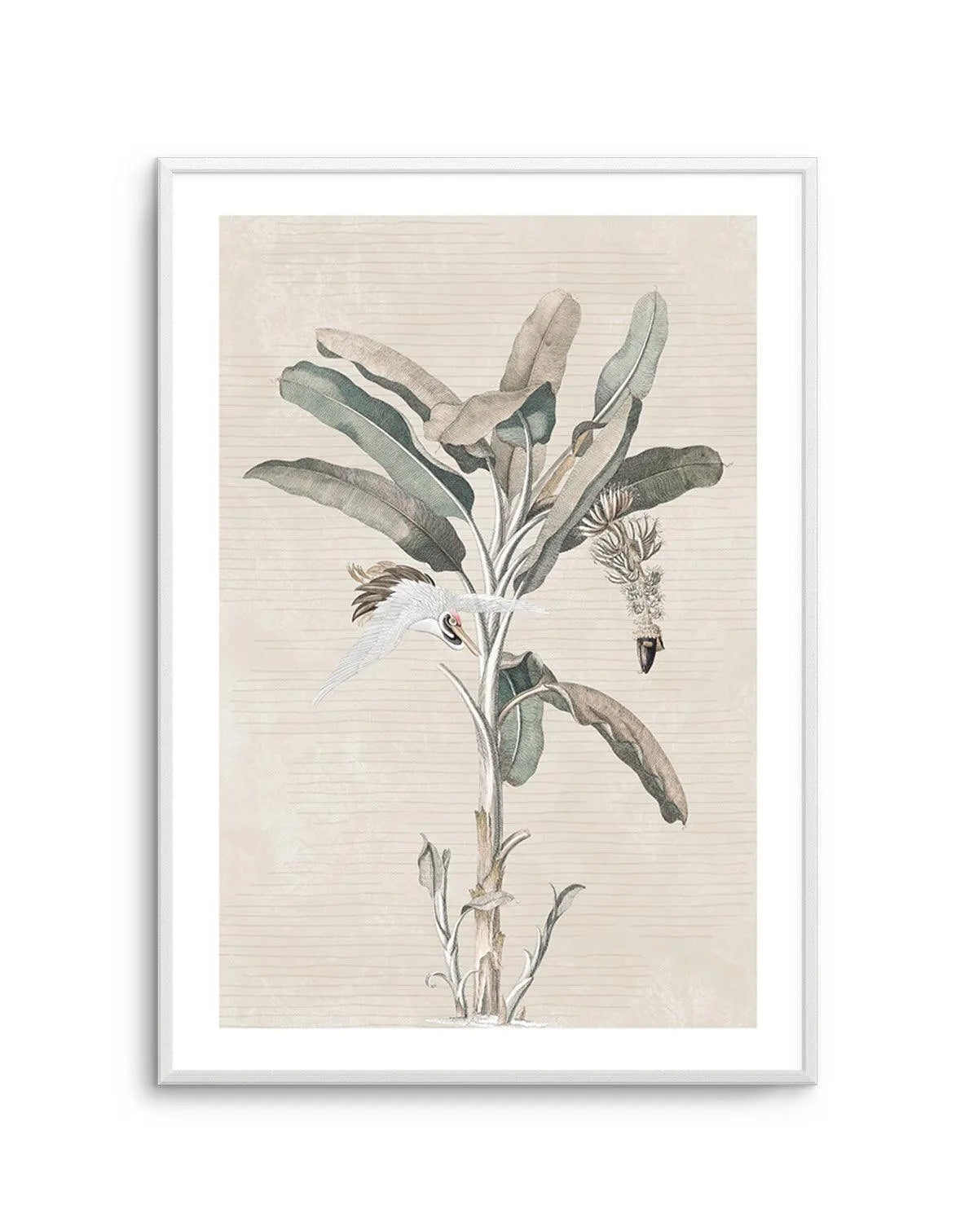 Exotic Palm III Art Print-PRINT-Olive et Oriel-Olive et Oriel-Buy-Australian-Art-Prints-Online-with-Olive-et-Oriel-Your-Artwork-Specialists-Austrailia-Decorate-With-Coastal-Photo-Wall-Art-Prints-From-Our-Beach-House-Artwork-Collection-Fine-Poster-and-Framed-Artwork