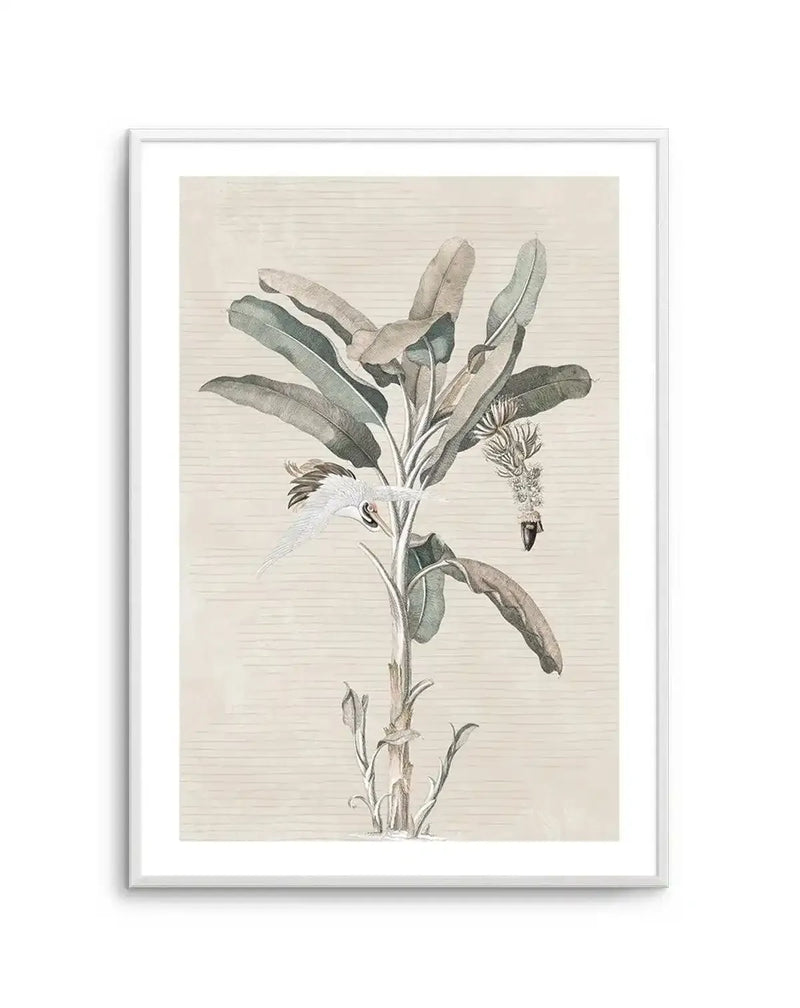 Exotic Palm III Art Print-PRINT-Olive et Oriel-Olive et Oriel-Buy-Australian-Art-Prints-Online-with-Olive-et-Oriel-Your-Artwork-Specialists-Austrailia-Decorate-With-Coastal-Photo-Wall-Art-Prints-From-Our-Beach-House-Artwork-Collection-Fine-Poster-and-Framed-Artwork