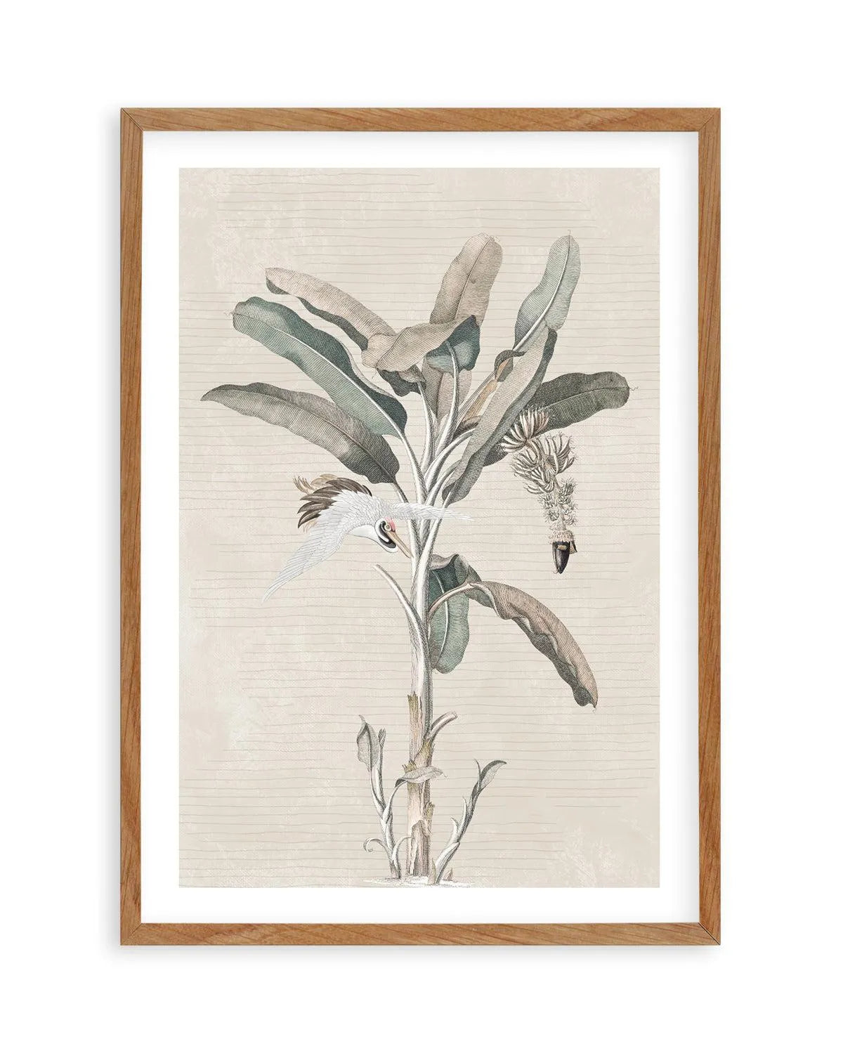 Exotic Palm III Art Print-PRINT-Olive et Oriel-Olive et Oriel-50x70 cm | 19.6" x 27.5"-Walnut-With White Border-Buy-Australian-Art-Prints-Online-with-Olive-et-Oriel-Your-Artwork-Specialists-Austrailia-Decorate-With-Coastal-Photo-Wall-Art-Prints-From-Our-Beach-House-Artwork-Collection-Fine-Poster-and-Framed-Artwork