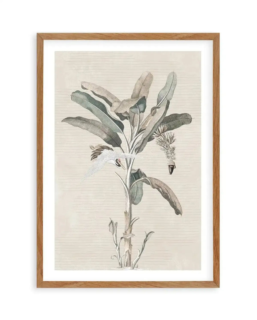 Exotic Palm III Art Print-PRINT-Olive et Oriel-Olive et Oriel-50x70 cm | 19.6" x 27.5"-Walnut-With White Border-Buy-Australian-Art-Prints-Online-with-Olive-et-Oriel-Your-Artwork-Specialists-Austrailia-Decorate-With-Coastal-Photo-Wall-Art-Prints-From-Our-Beach-House-Artwork-Collection-Fine-Poster-and-Framed-Artwork
