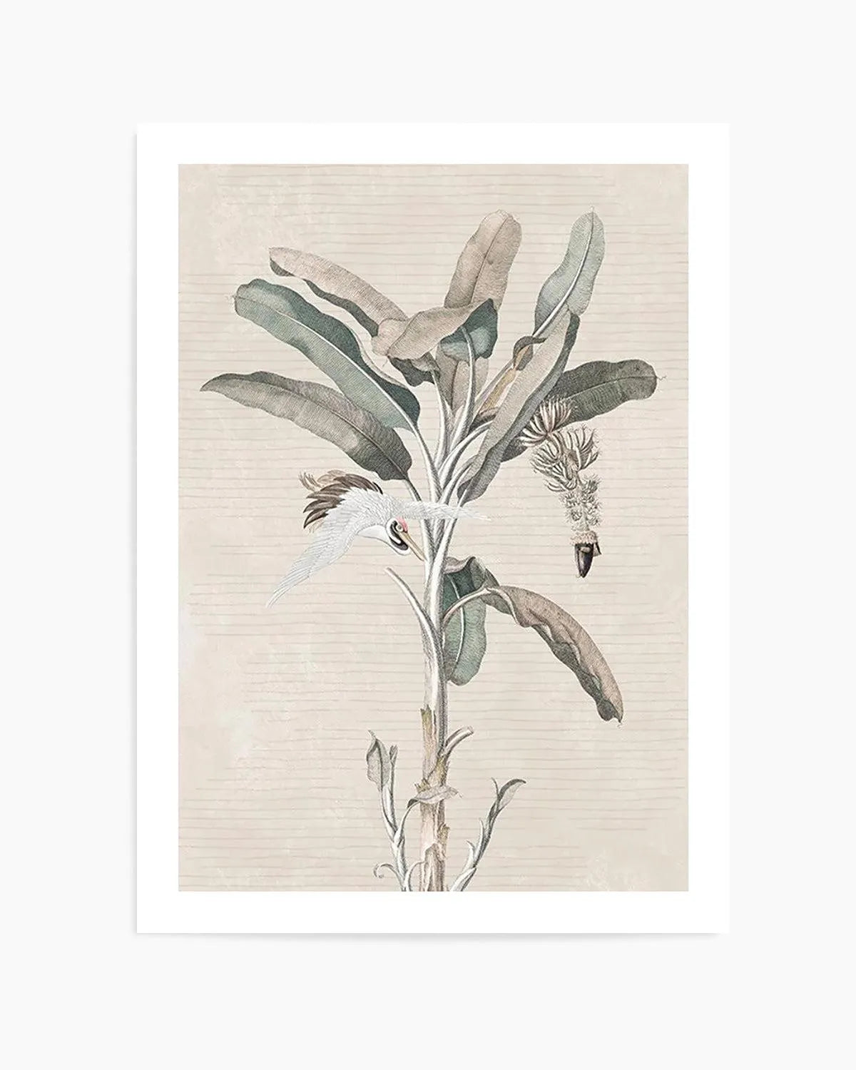Exotic Palm III Art Print from Olive et Oriel where you can shop wallpaper and artworks online