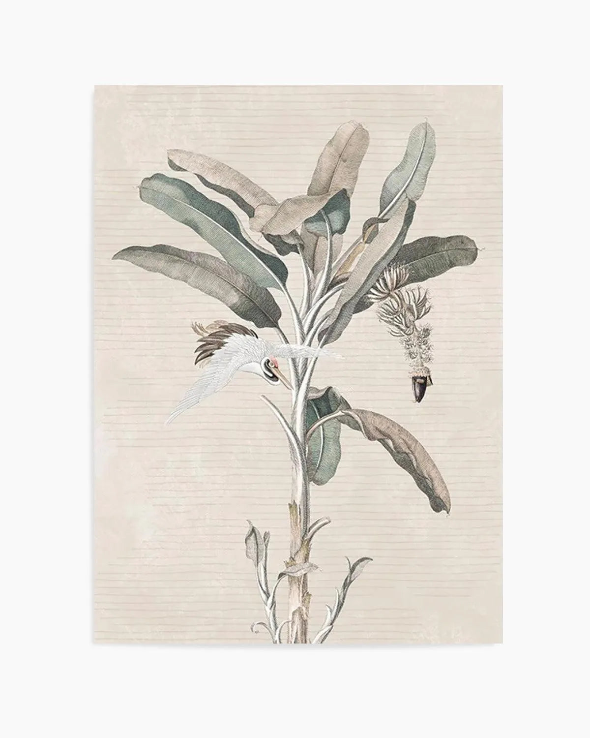 Exotic Palm III Art Print from Olive et Oriel where you can shop wallpaper and artworks online
