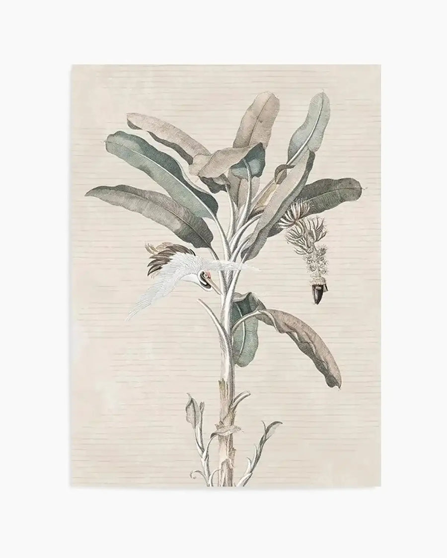 Exotic Palm III Art Print from Olive et Oriel where you can shop wallpaper and artworks online