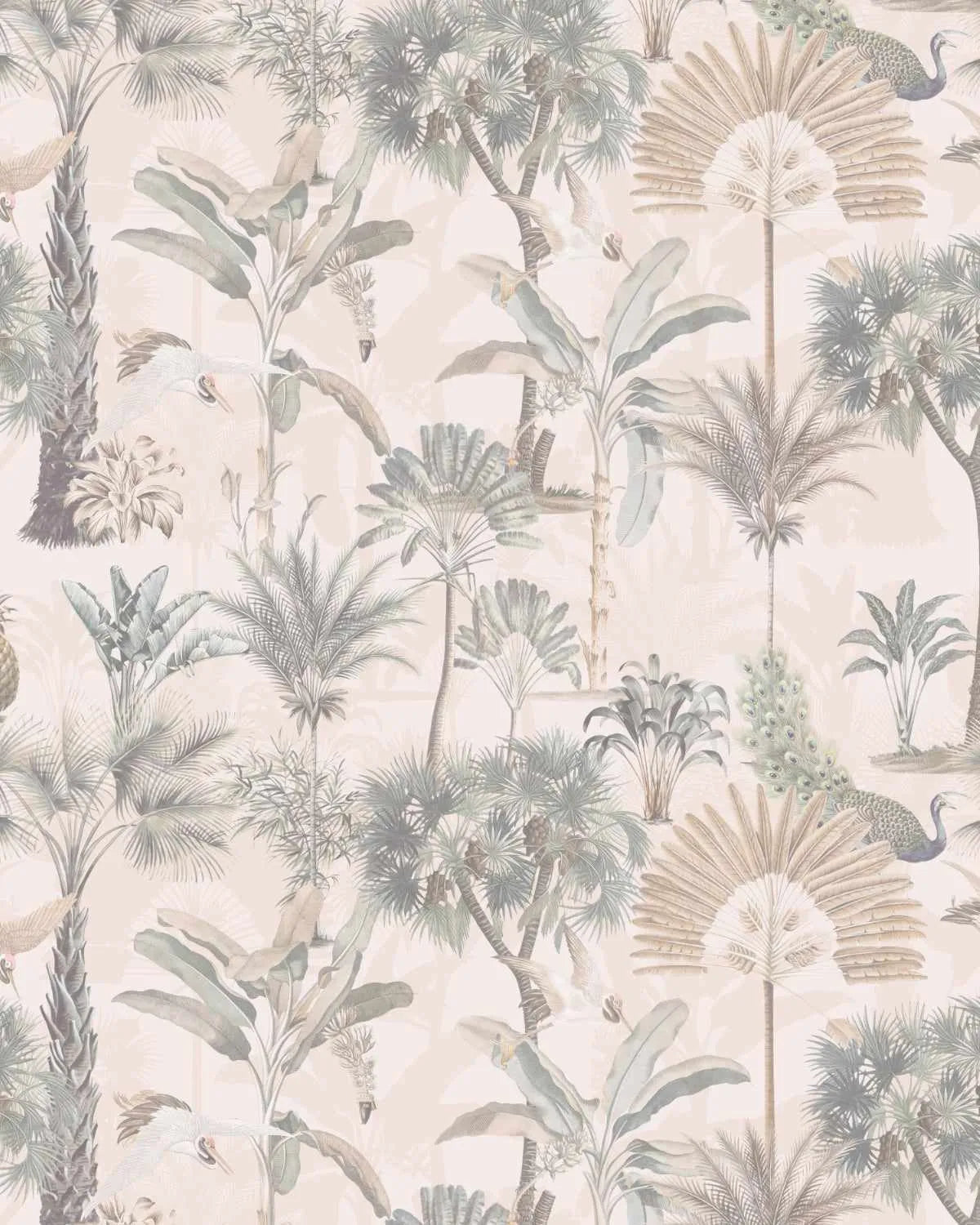 Exotica Palms in Golden Hour Wallpaper from Olive et Oriel where you can shop wallpaper and artworks online