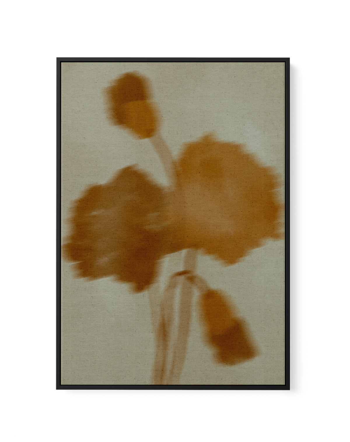 Faded Bloom by Shatha Al Dafai | Framed Canvas Art Print