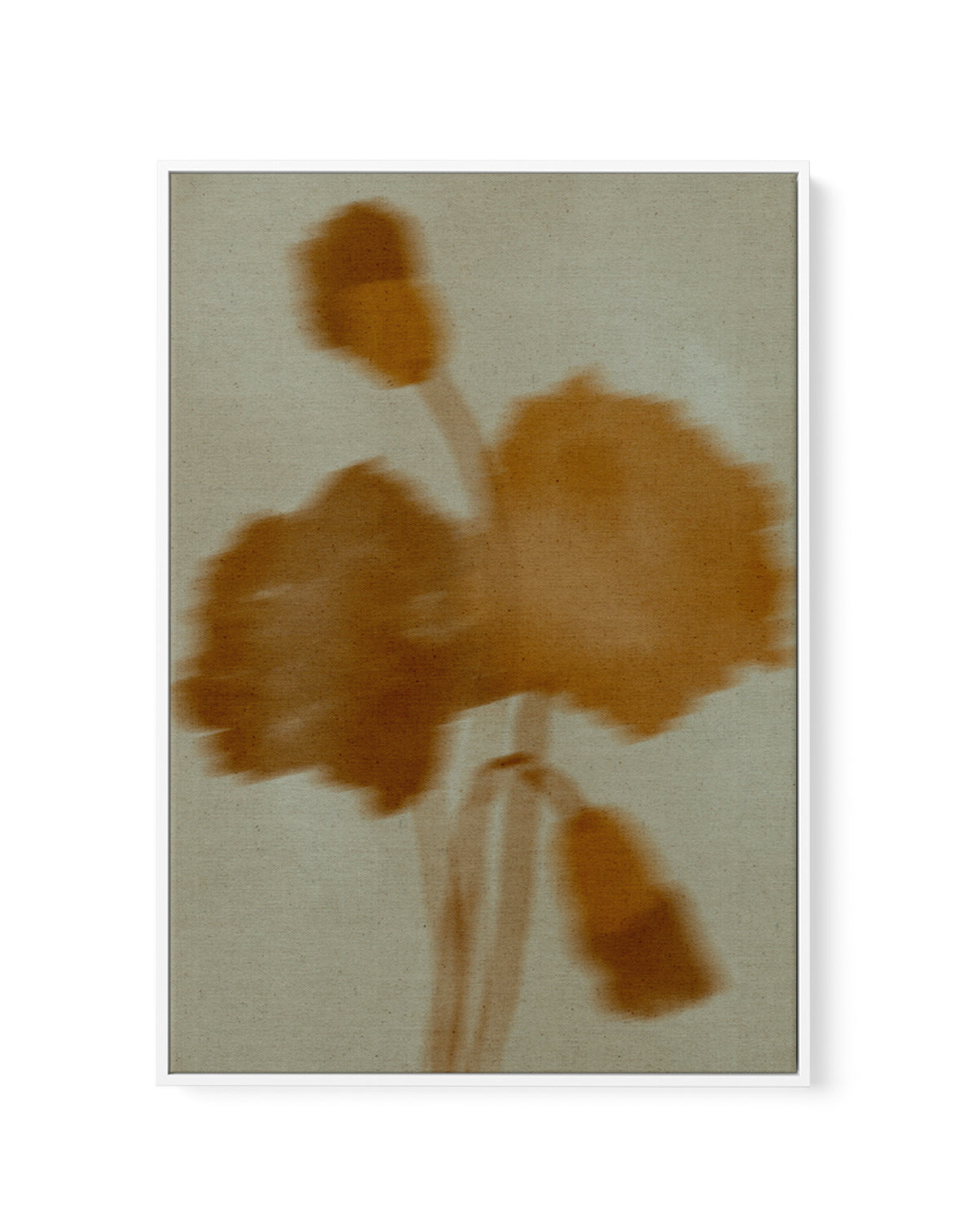 Faded Bloom by Shatha Al Dafai | Framed Canvas Art Print
