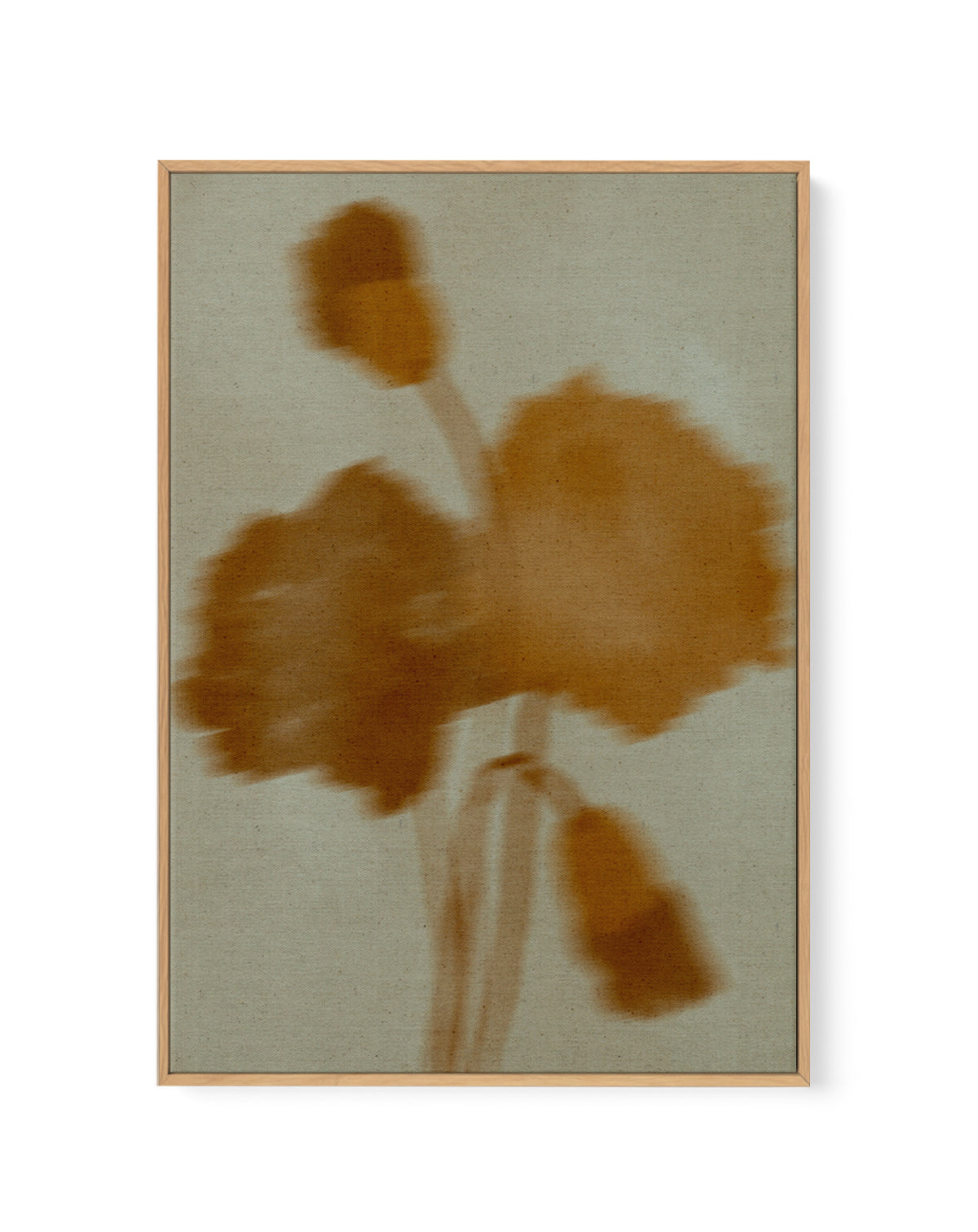 Faded Bloom by Shatha Al Dafai | Framed Canvas Art Print