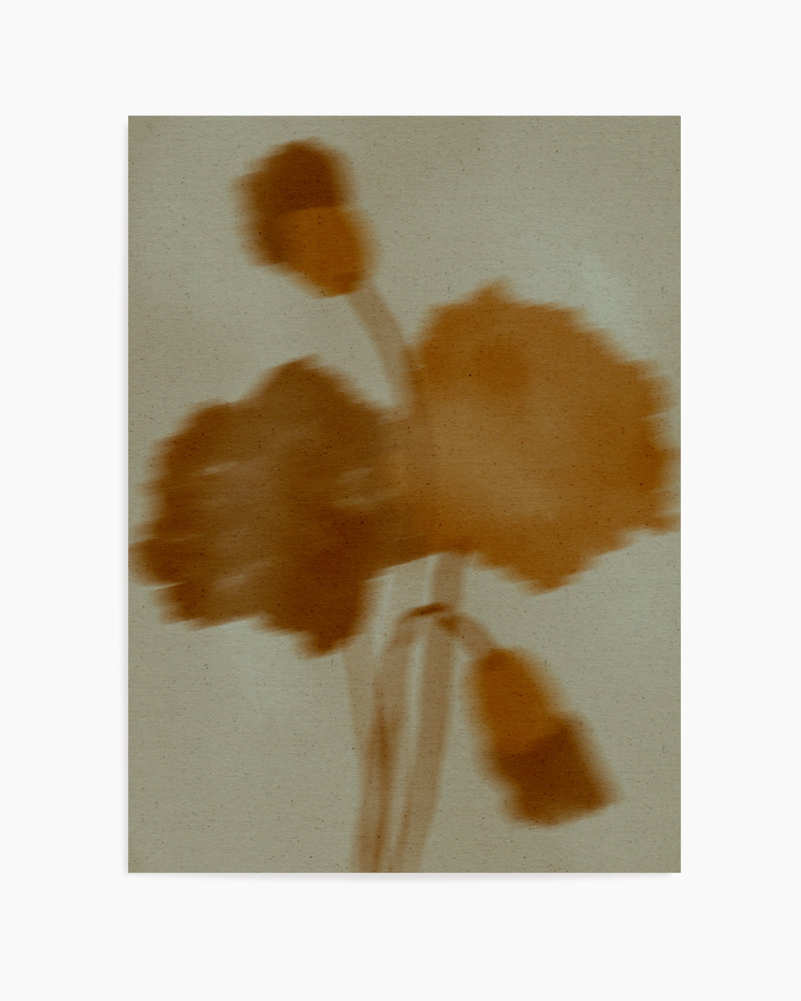 Faded Bloom by Shatha Al Dafai | Art Print