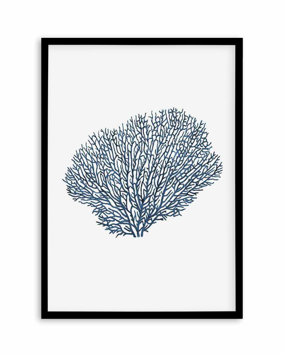 Fan Coral I Art Print