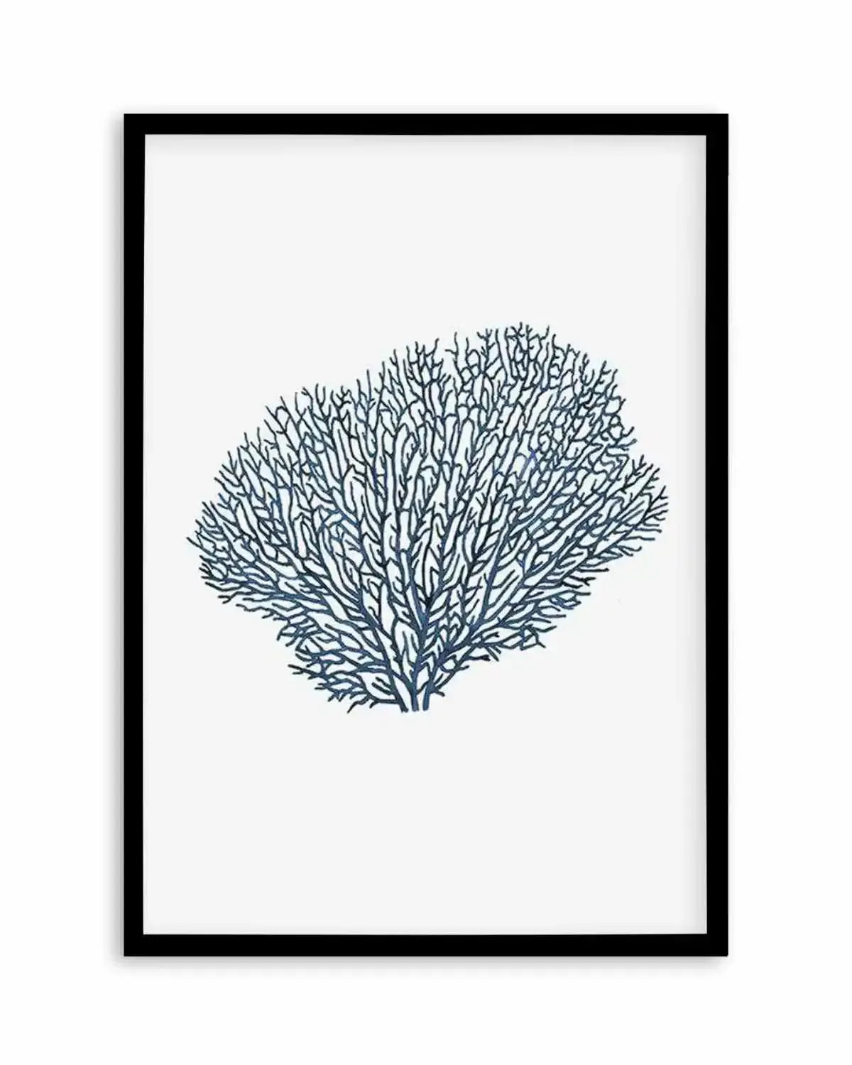 Fan Coral I Art Print from Olive et Oriel where you can shop wallpaper and artworks online
