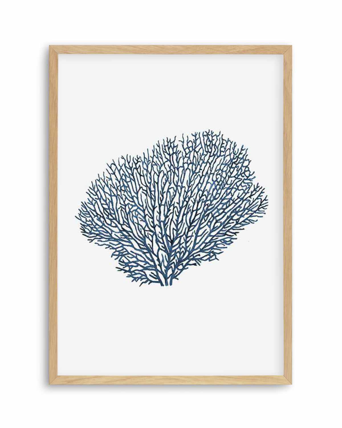 Fan Coral I Art Print