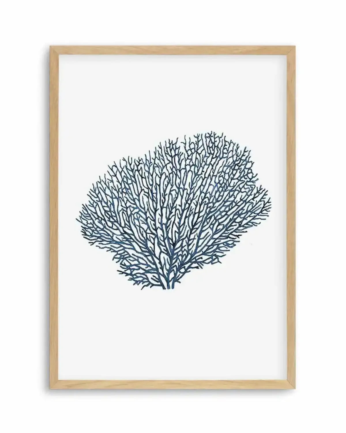 Fan Coral I Art Print from Olive et Oriel where you can shop wallpaper and artworks online