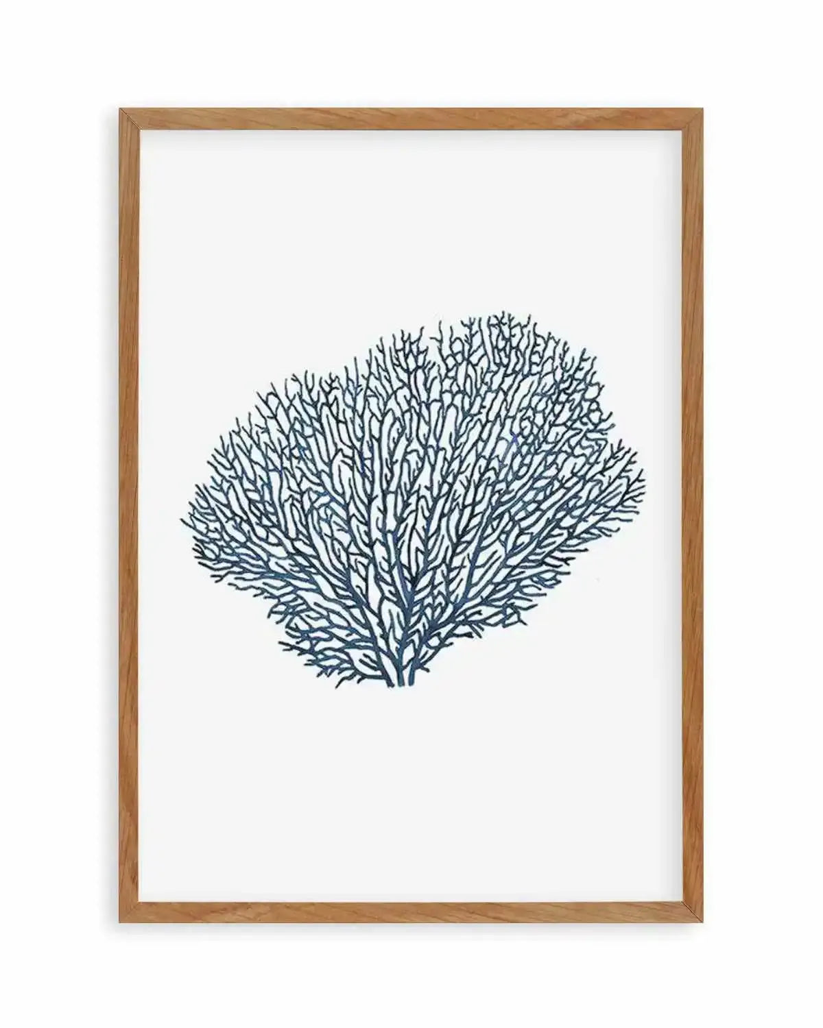 Fan Coral I Art Print from Olive et Oriel where you can shop wallpaper and artworks online