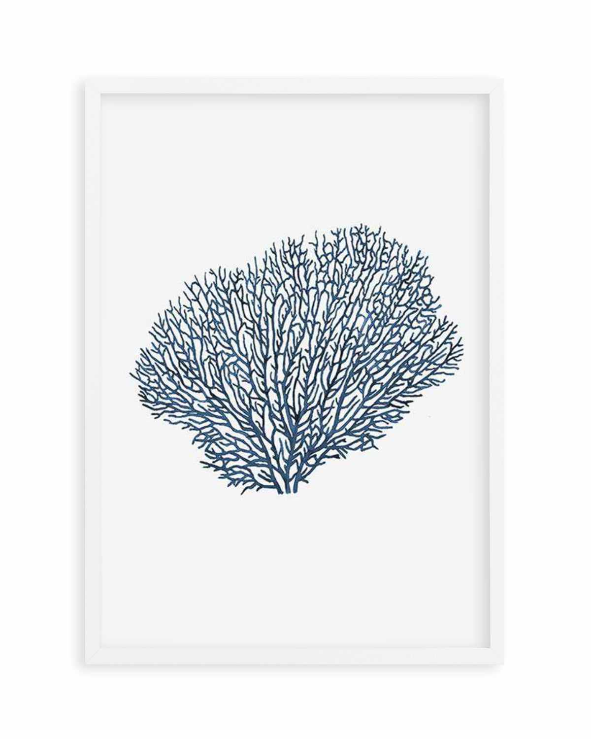 Fan Coral I Art Print