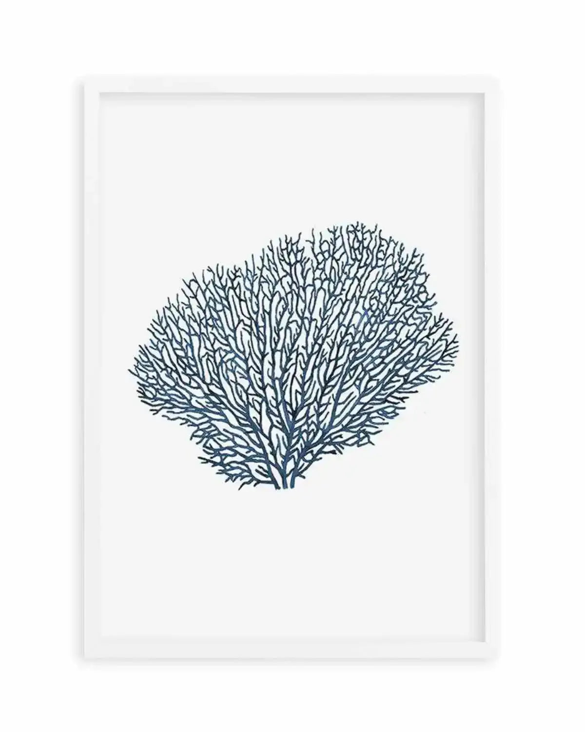 Fan Coral I Art Print from Olive et Oriel where you can shop wallpaper and artworks online