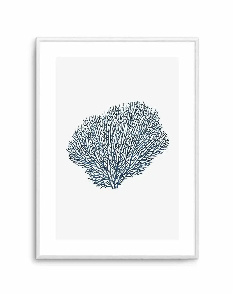 Watercolour art print featuring a detailed illustration of a fan coral in deep navy blue on a crisp white background, printed on fine art paper and displayed in a white frame with white border.
