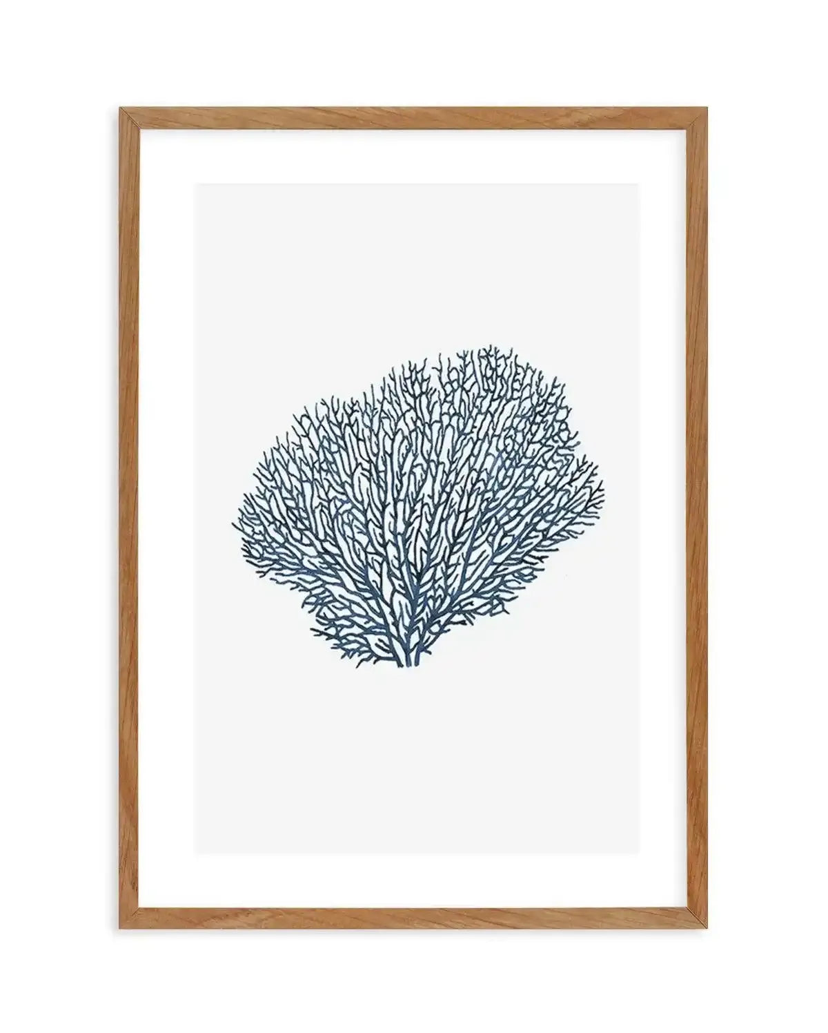 Fan Coral I Art Print-PRINT-Olive et Oriel-Olive et Oriel-Buy-Australian-Art-Prints-Online-with-Olive-et-Oriel-Your-Artwork-Specialists-Austrailia-Decorate-With-Coastal-Photo-Wall-Art-Prints-From-Our-Beach-House-Artwork-Collection-Fine-Poster-and-Framed-Artwork