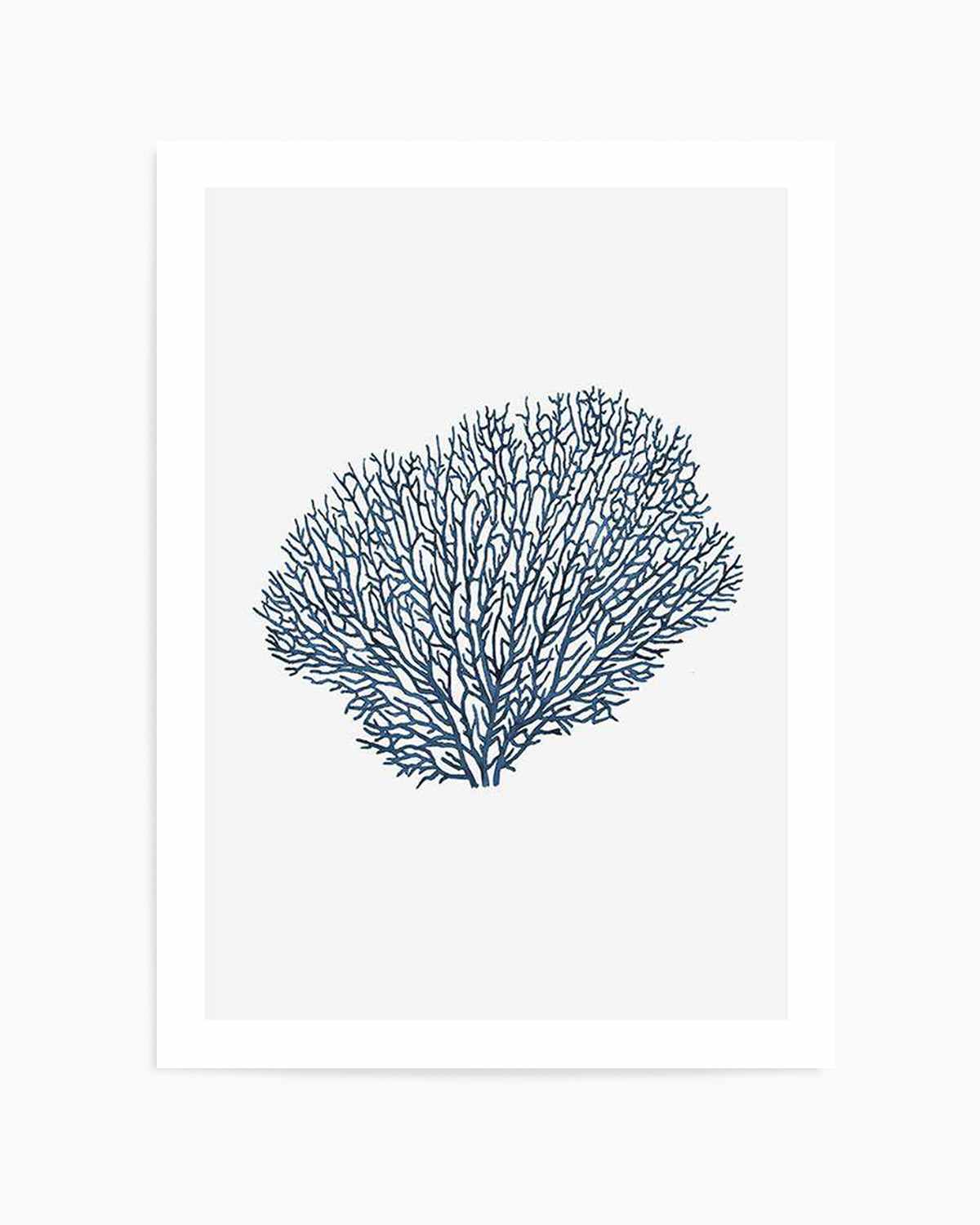 Fan Coral I Art Print