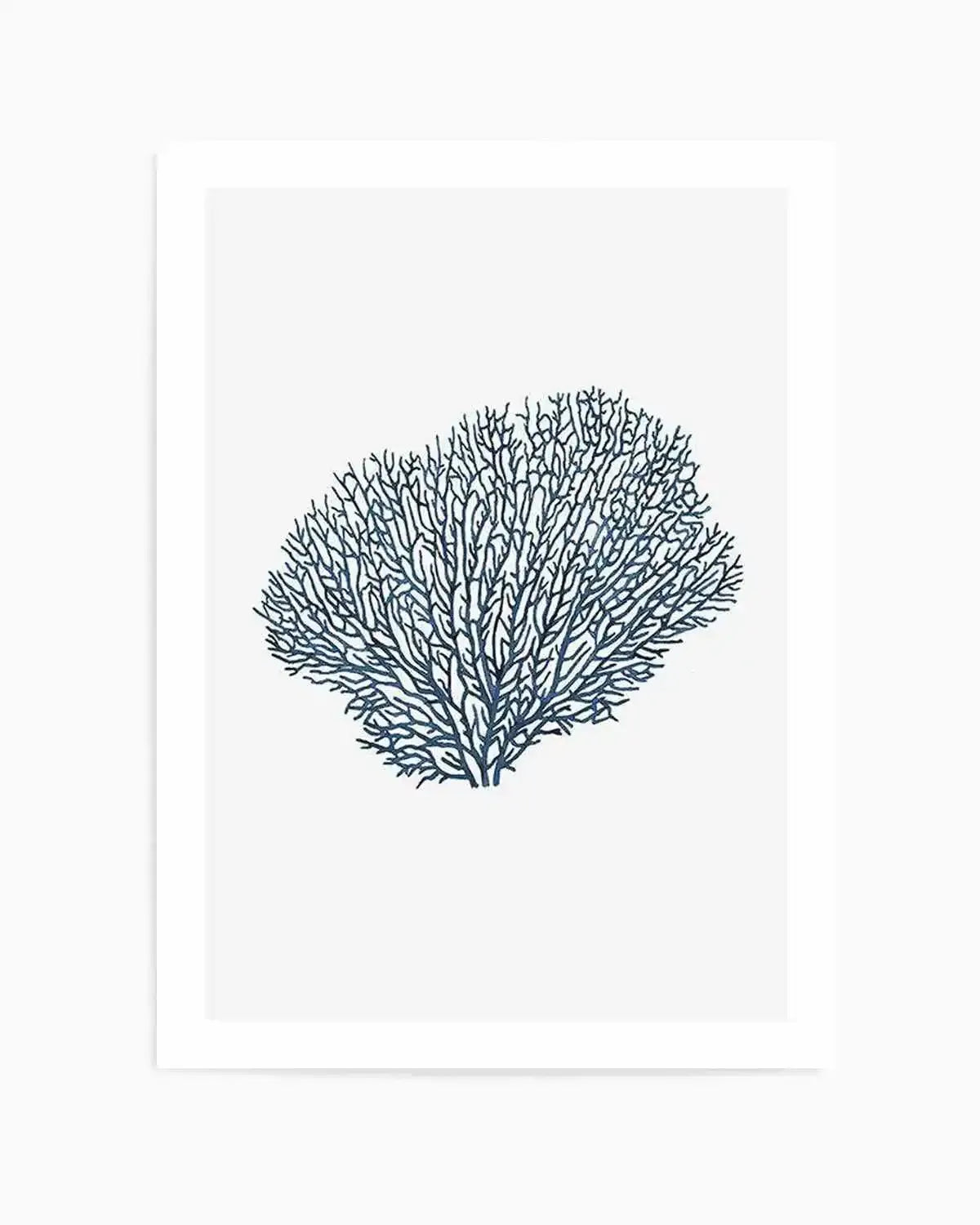 Fan Coral I Art Print from Olive et Oriel where you can shop wallpaper and artworks online