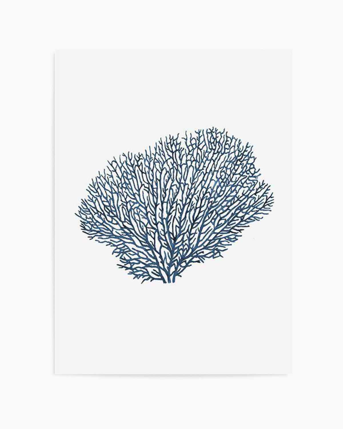 Fan Coral I Art Print