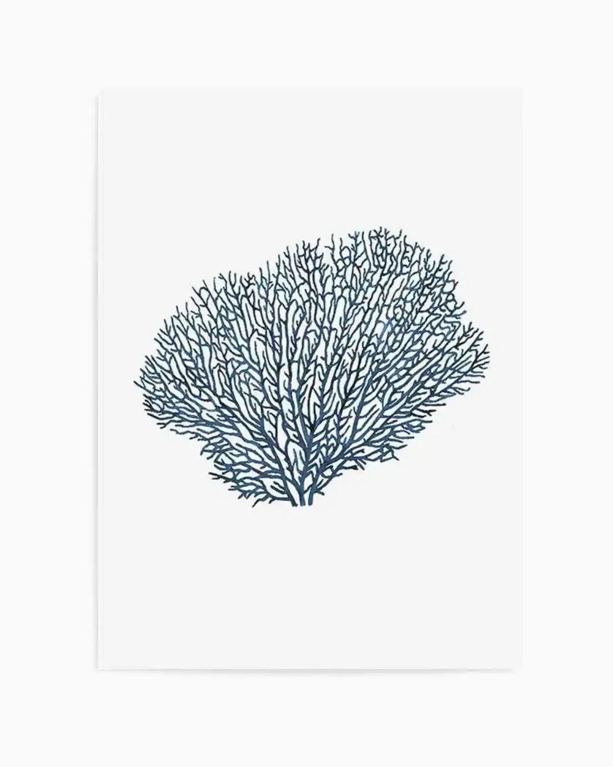 Fan Coral I Art Print from Olive et Oriel where you can shop wallpaper and artworks online
