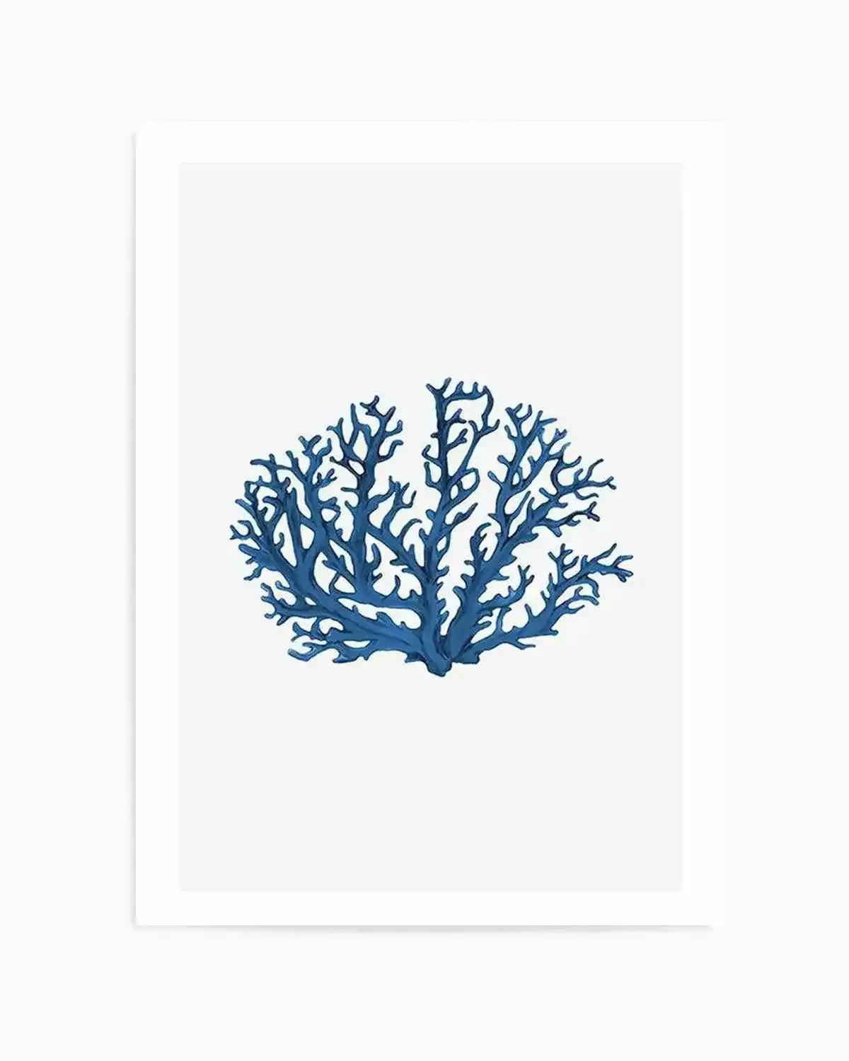 Fan Coral II Art Print from Olive et Oriel where you can shop wallpaper and artworks online