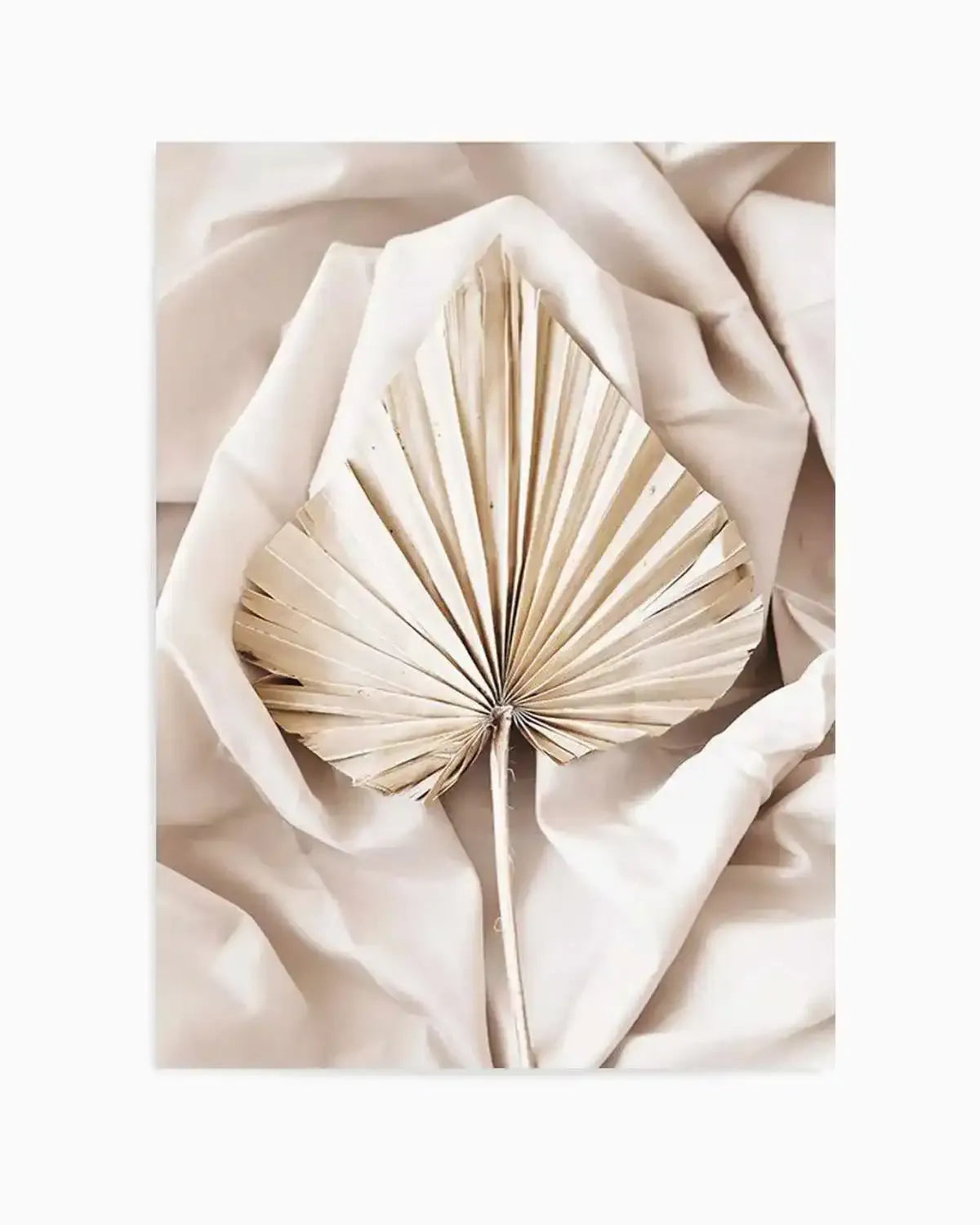 Fan Palm Art Print from Olive et Oriel where you can shop wallpaper and artworks online