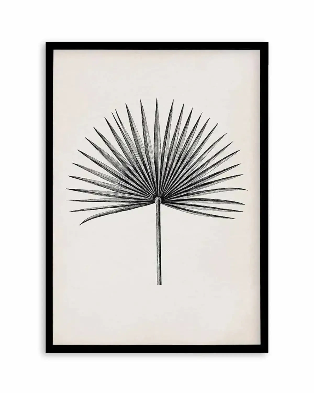 Fan Palm II Art Print from Olive et Oriel where you can shop wallpaper and artworks online