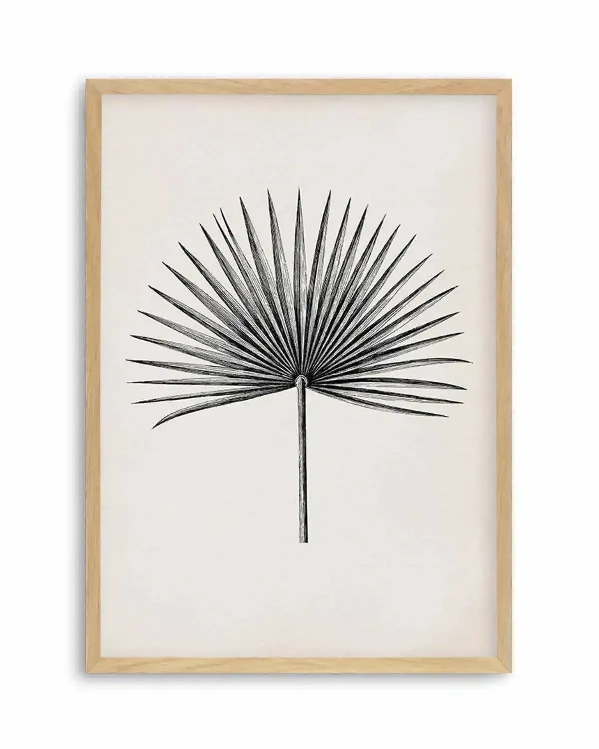 Fan Palm II Art Print from Olive et Oriel where you can shop wallpaper and artworks online