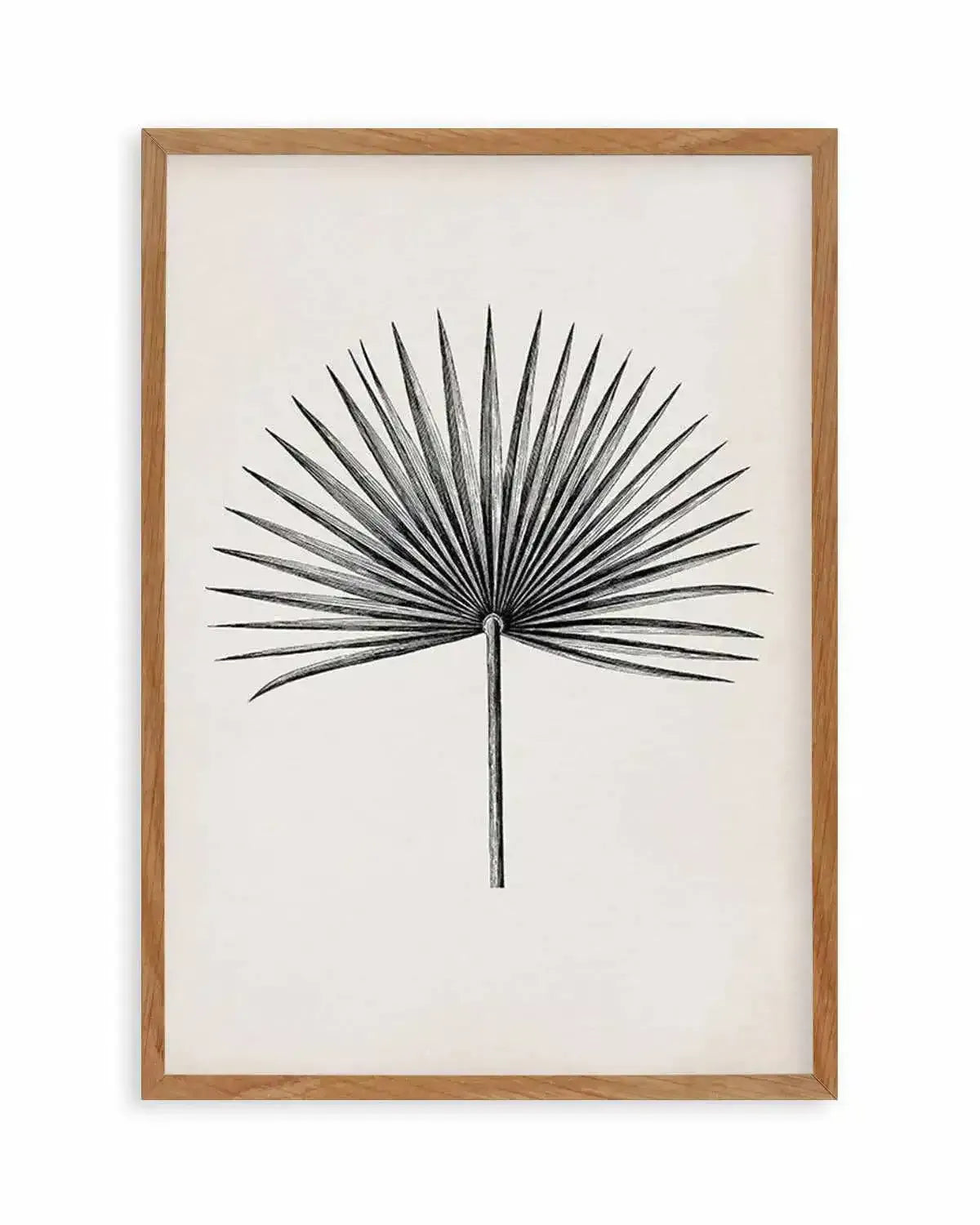 Fan Palm II Art Print from Olive et Oriel where you can shop wallpaper and artworks online