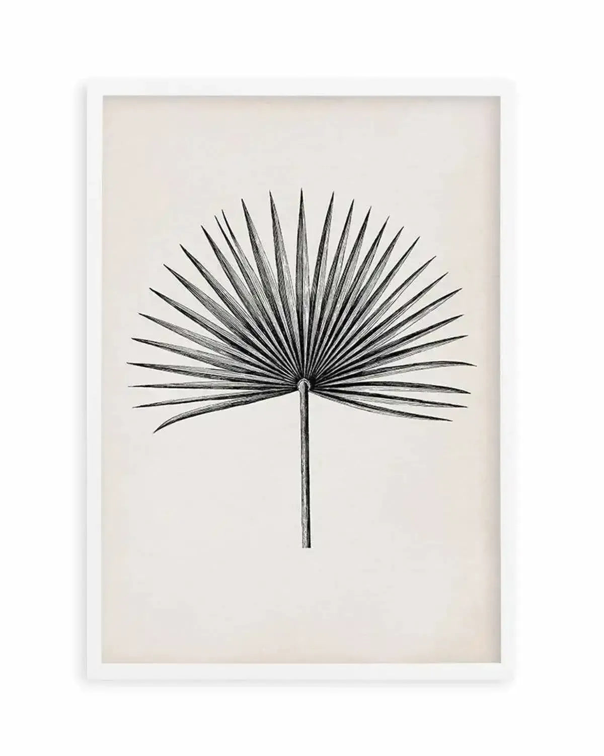 Fan Palm II Art Print from Olive et Oriel where you can shop wallpaper and artworks online