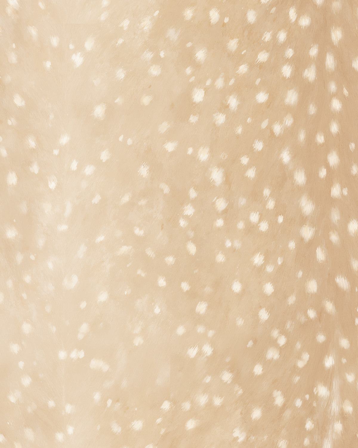 Fawn Hide Spots Wallpaper