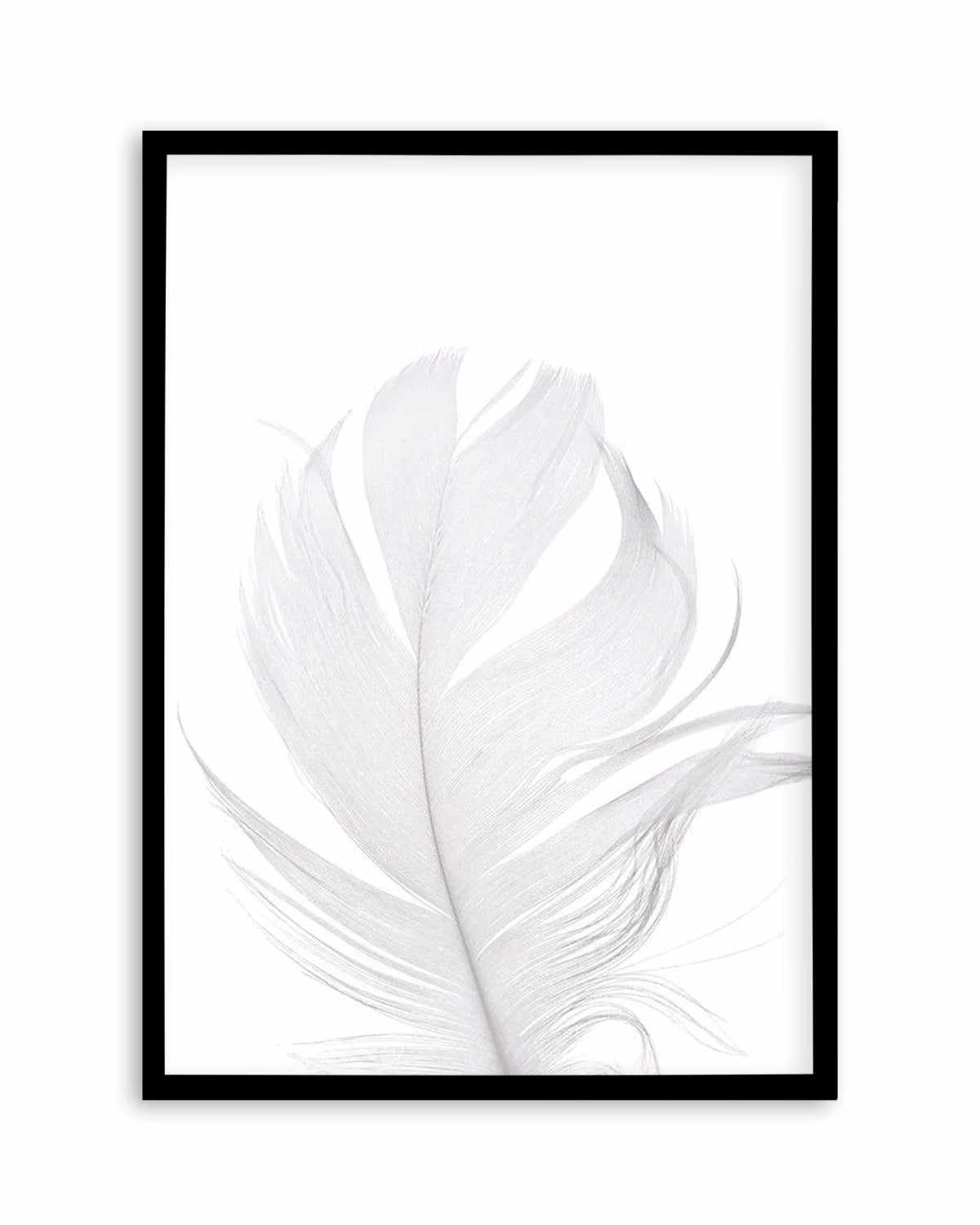 Feather II | White Art Print