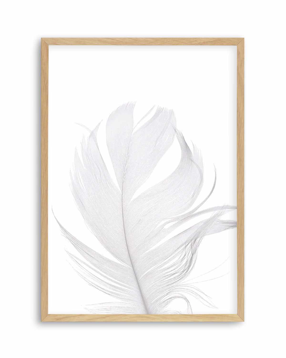 Feather II | White Art Print