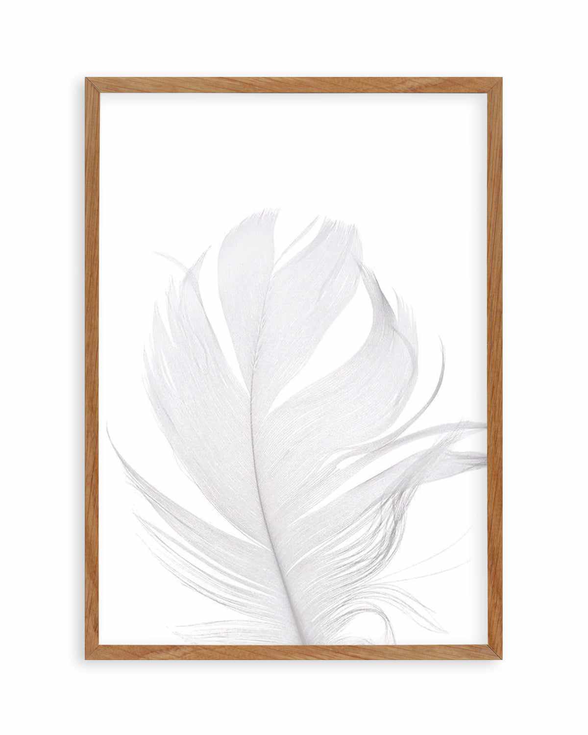 Feather II | White Art Print