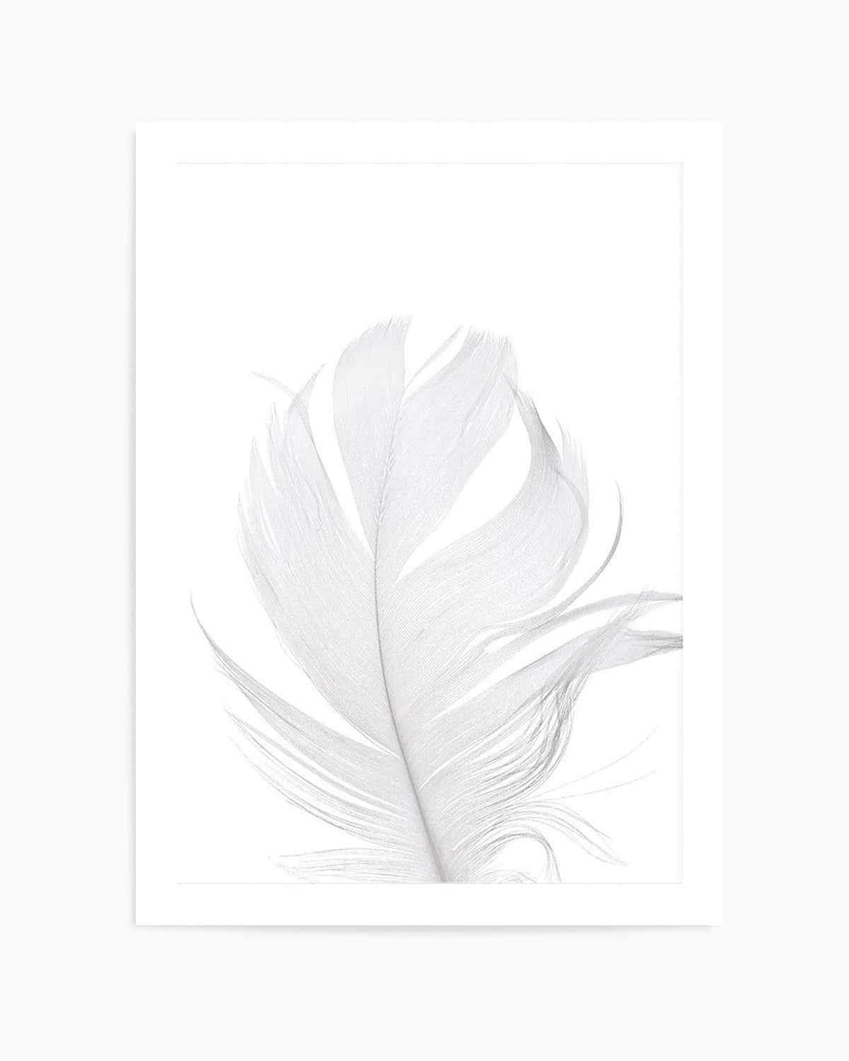 Feather II | White Art Print