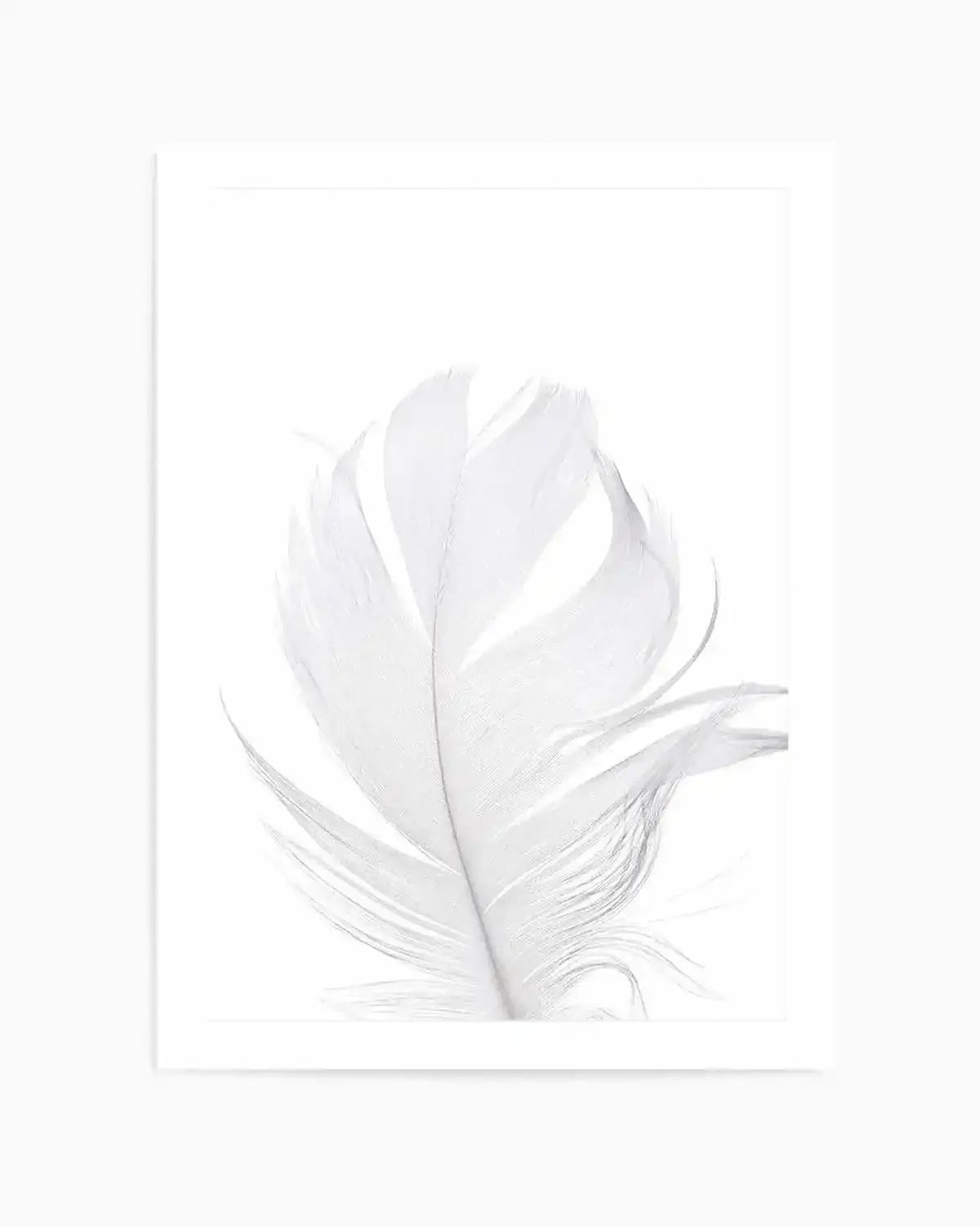Feather II | White Art Print from Olive et Oriel where you can shop wallpaper and artworks online