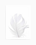 Feather II | White Art Print