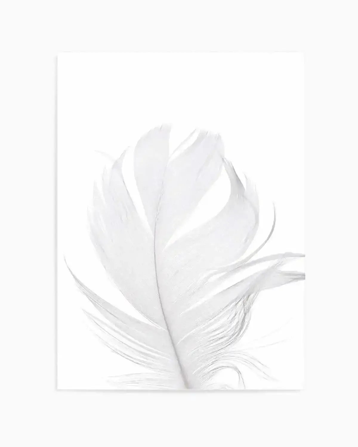 Feather II | White Art Print from Olive et Oriel where you can shop wallpaper and artworks online