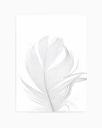 Feather II | White Art Print