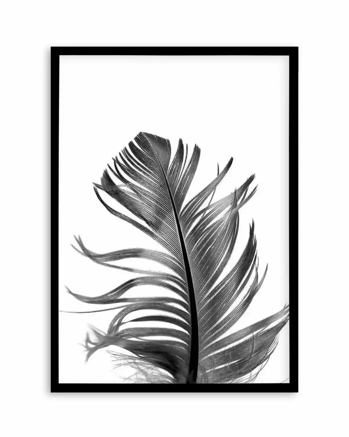 Feather III | Black Art Print from Olive et Oriel where you can shop wallpaper and artworks online