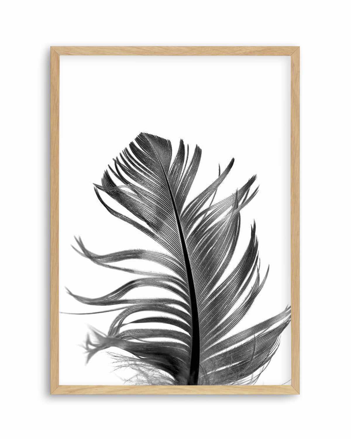 Feather III | Black Art Print